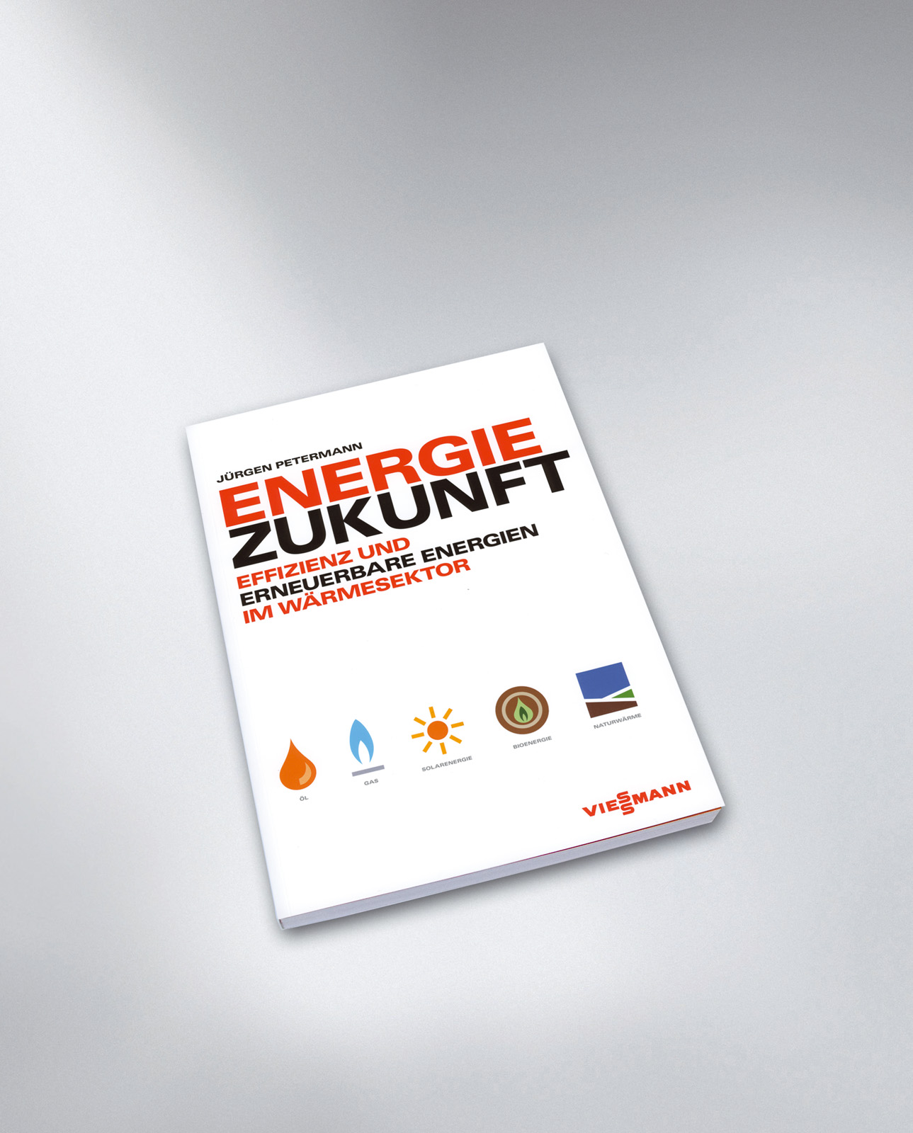 Buch_Energie_Zukunft_neu.jpg