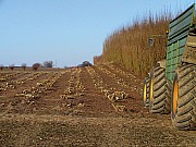 070324-wald2rou.jpg