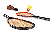 Speedminton.jpg