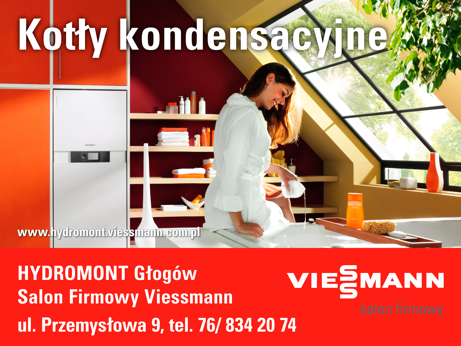 20150820 - SF Hydromont - Billboard Wzory Rozne (800x600) 2015-08.jpg