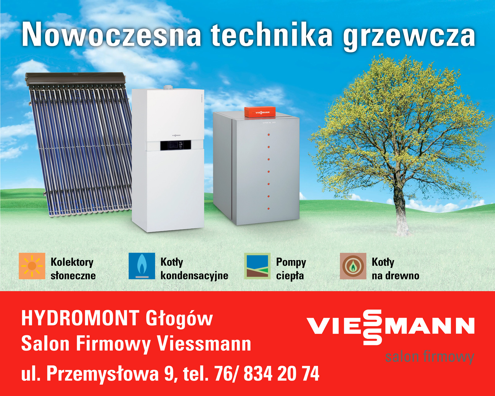 072-Viessmann - SF Hydromont - Billboard Wzory Rozne (720x576) 2012ག.jpg