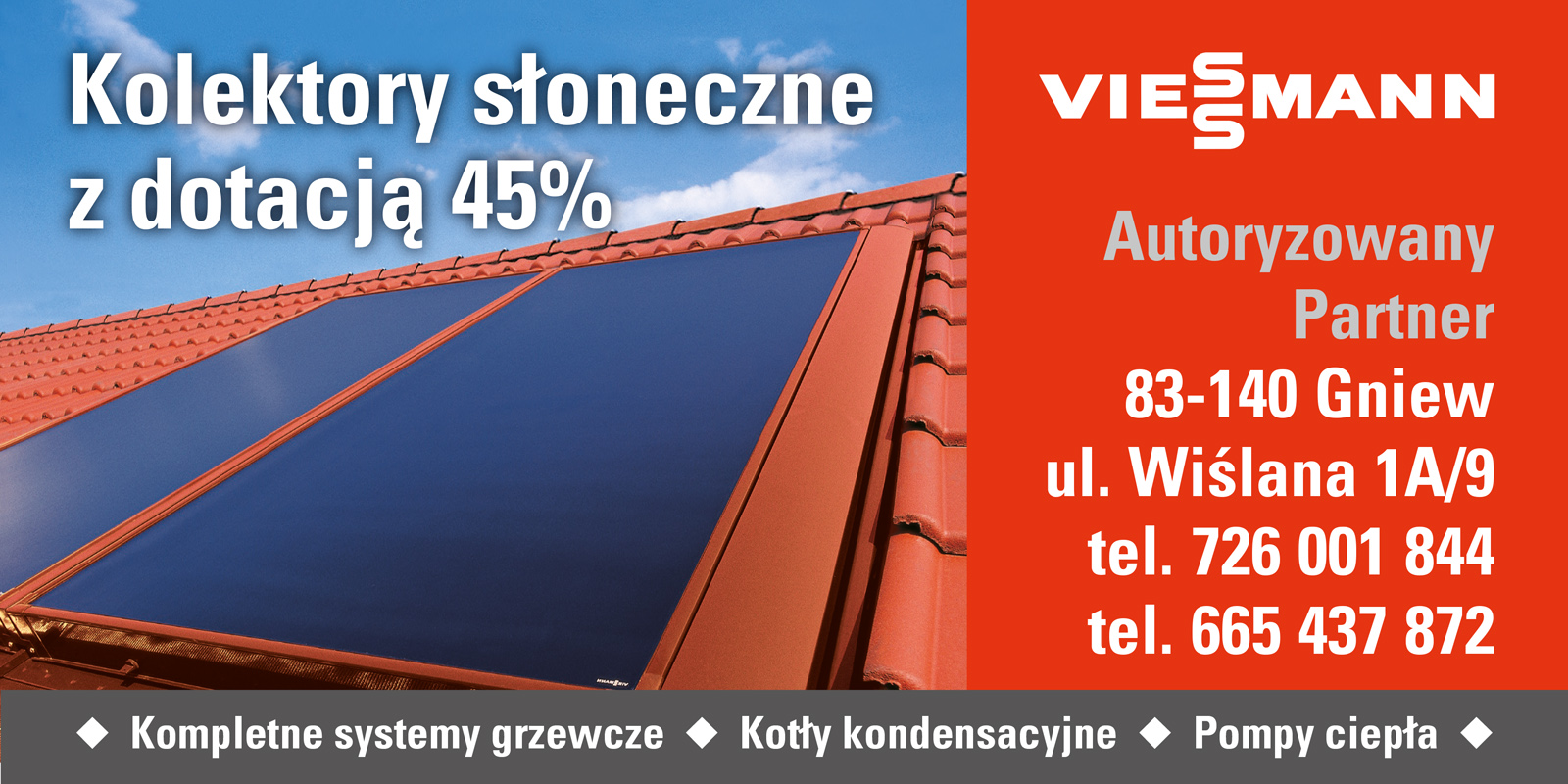 075-Viessmann - FP NiDB - Banner - Rozne - 2012ག (300x150).jpg