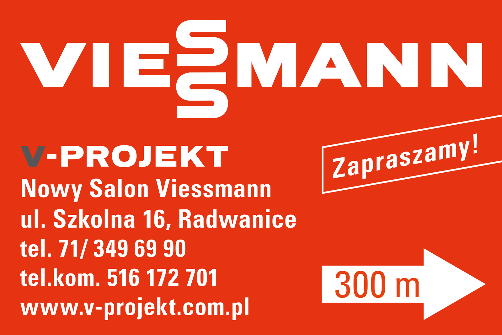 267-Viessmann - V-Projekt - Reklama kierunkowa sport (300x200) 2013ཆ.jpg