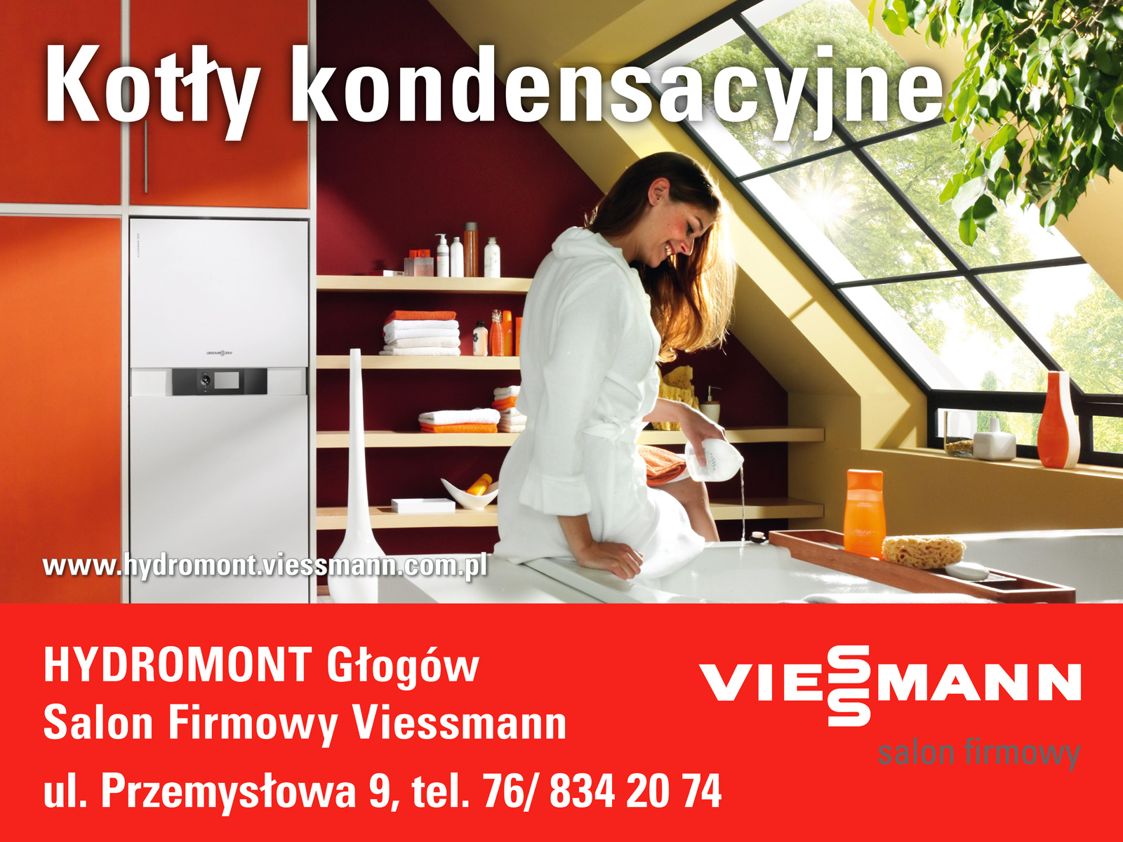 492-Viessmann - SF Hydromont - Billboard Wzory Rozne (800x600) 2015ང.jpg