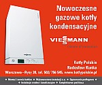 069-Viessmann - Kotly Polskie - R.Kunka - Banner 300x250 2012ག.jpg