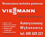 099-Viessmann - Dobry Kociol - R.Kunka - Banner 300x250 2012གྷ.jpg